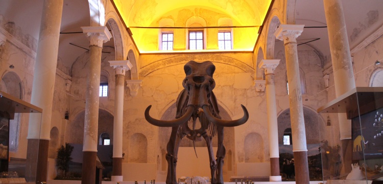 Burdur Doğa Tarihi Müzesi