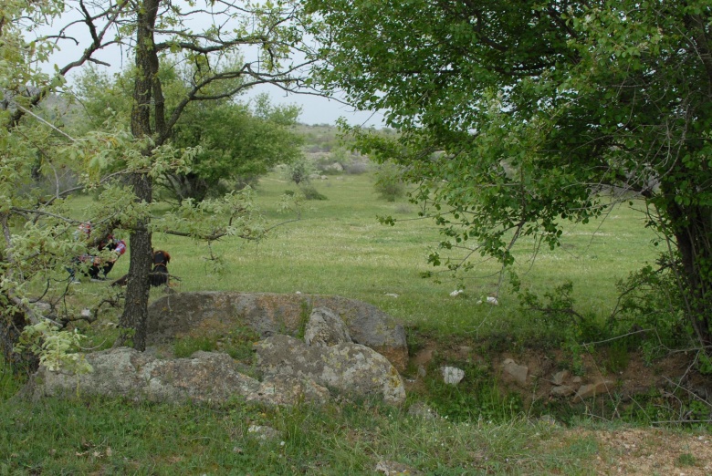 Trakya Dolmenleri