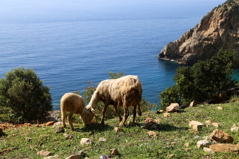 Hatay'ın saklı cenneti: Karamağara