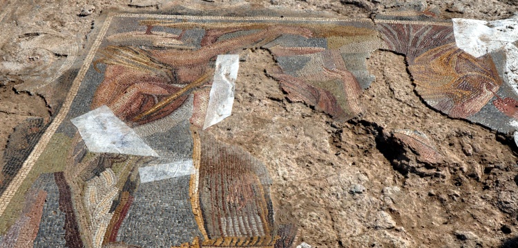 Kırıkkale'de bugday tarlasında mozaik bulundu