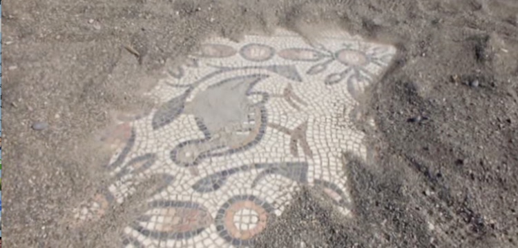 Mersin Tisan'ın mozaikli alanı koruma altına alınıyor