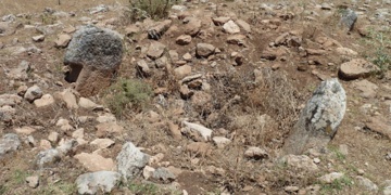 Karahan Tepe, Göbekli Tepenin kardeşi olabilir mi?