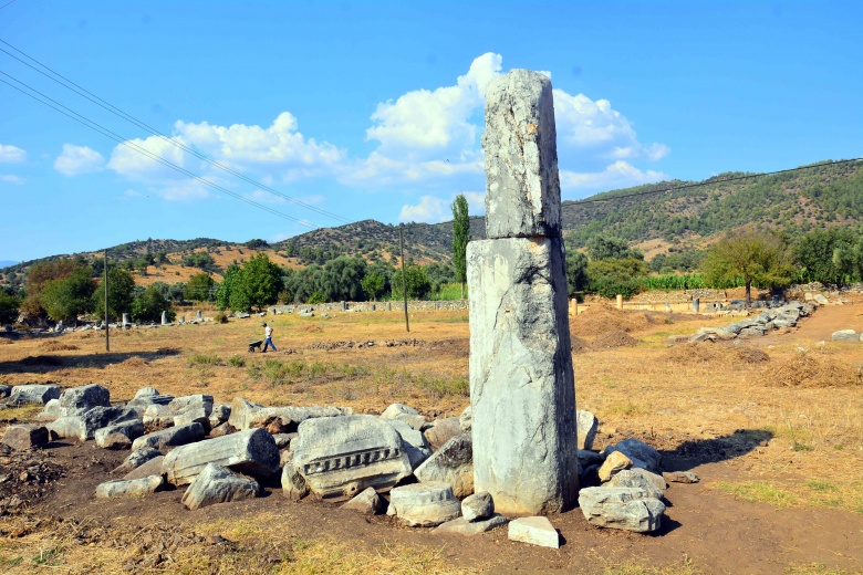 Euromos sütunları ayağa kaldırılıyor