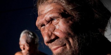 Neandertallerin yok oluşu nasıl hızlandı?