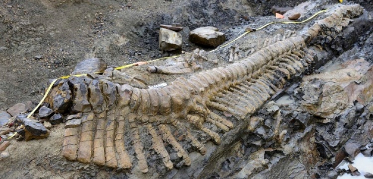 Dinozorların yok olmasıyla ilgili yeni iddia: Uzun kuluçka süresi