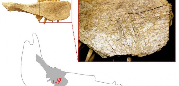 Kuzey Amerika'da 24 bin yıl önce de insan varmış