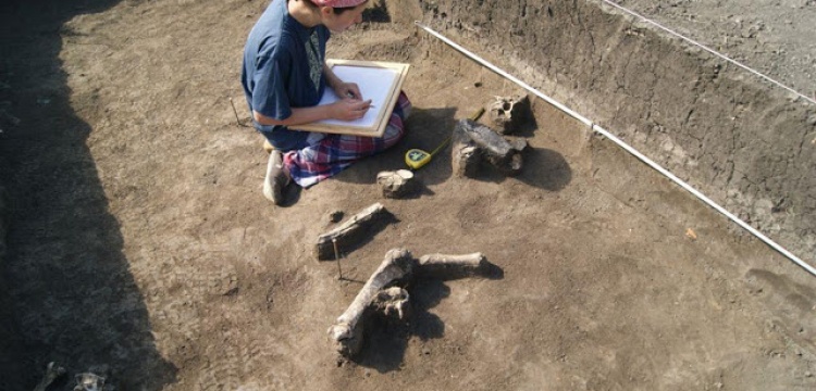 Moldova'da 7000 yıllık 'uzun ev' keşfedildi