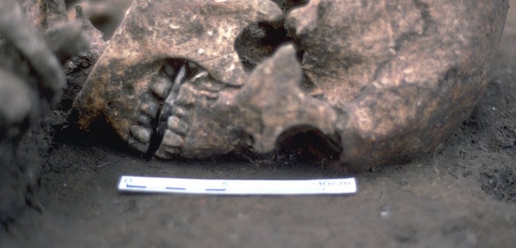 Kesik dilinin yerine taş konmuş iskelet bulundu