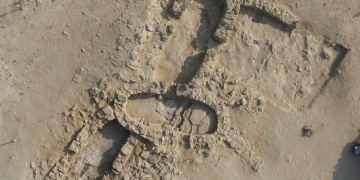 Abu Dabide planı bozulmamış taş devri evi bulundu