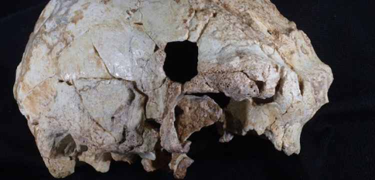 Portekiz’de 400 bin yıllık insan kafatası bulundu