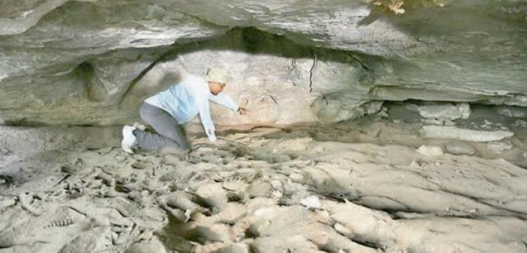 Hindistan'da Taş Devri mağaraları bulundu