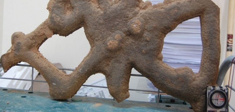 Umman'da 500 milyon yıllık fosil keşfedildi