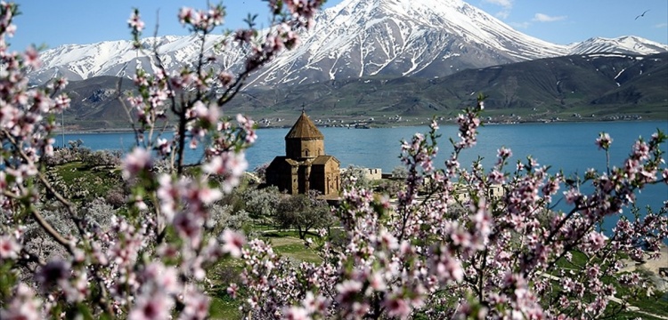 Akdamar Adası çiçeklere büründü