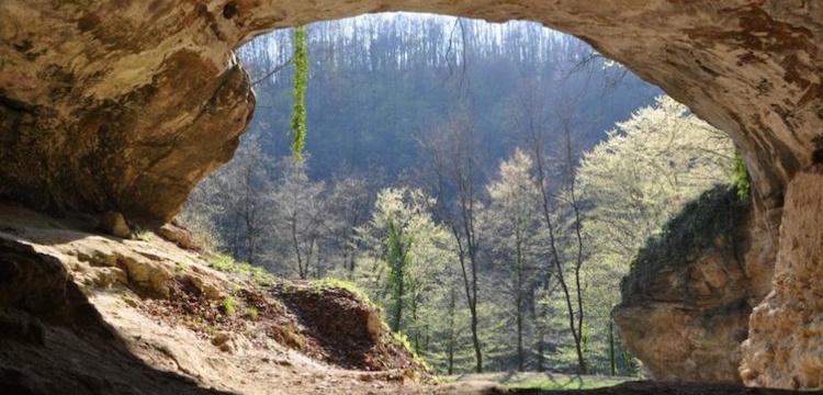 Mağara Tortularından insan DNA'larına ulaşıldı