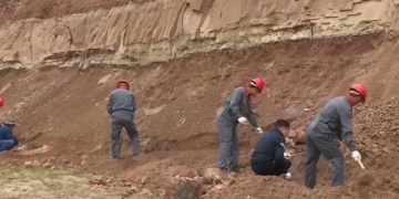 Çinde dinozorlar için arkeoloji kazısı