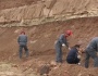 Çinde dinozorlar için arkeoloji kazısı