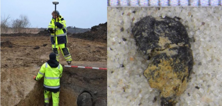Arkeologlar Bronz Çağından kalma üzüm çekirdeği buldu