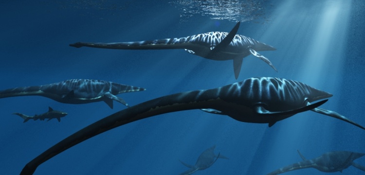 Kalsiyum analizlerine göre deniz dinozorları gıda piramidinin tepesindeydi