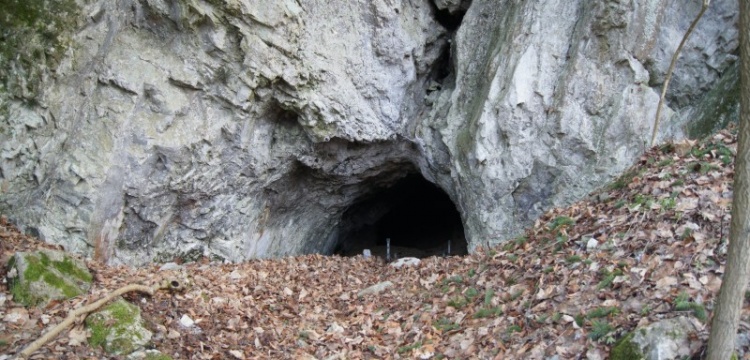 Neandertal ile Homo Sapiens bu mağarada karşılaşmış olabilir