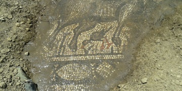 Adıyamanda tarlada bulunan mozaik koruma altına alındı