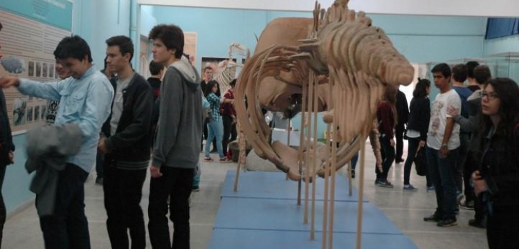 EÜ Tabiat Tarihi Müzesi paleontoloji galerisi görülmeye değer