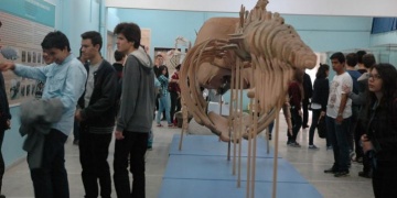 EÜ Tabiat Tarihi Müzesi paleontoloji galerisi görülmeye değer