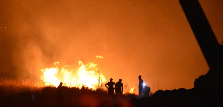 Bodrum'da 1. Derece Arkeolojik SİT alanında yangın çıktı