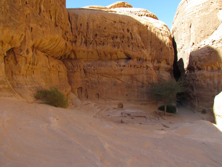 Suudi Arabistan'ın saklı şehri: Mada'in Saleh