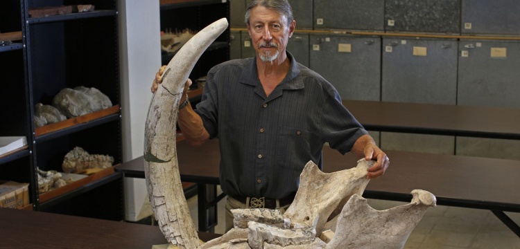 9 yaşındaki çocuğun ayağı Stegomastodons fosiline takıldı