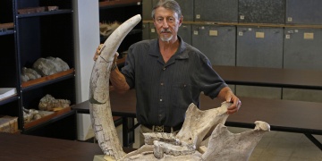 9 yaşındaki çocuğun ayağı Stegomastodons fosiline takıldı