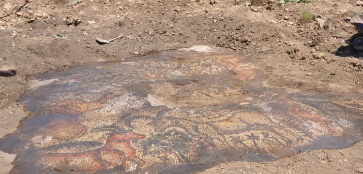 Adıyaman'da mozaik bulunan bölge arkeolojik sit alanı ilan edildi
