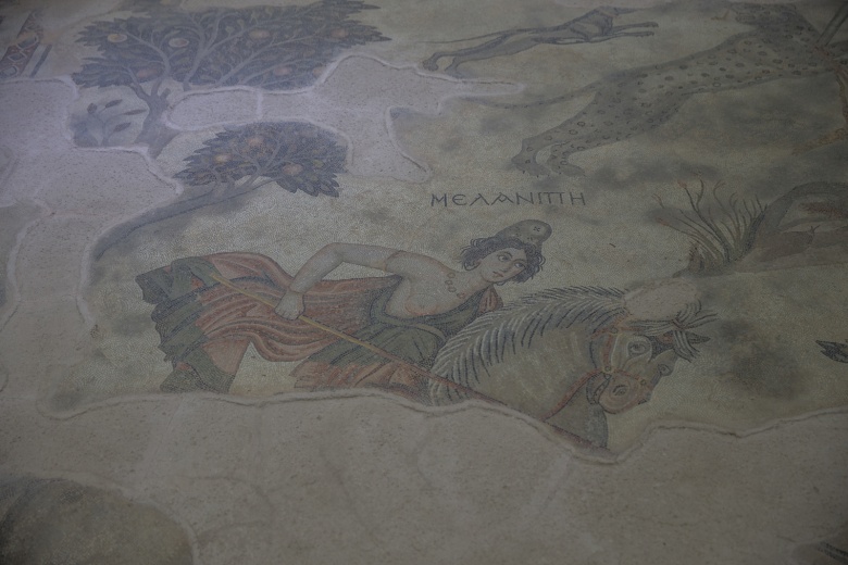 Haleplibahçe Mozaik Müzesi mozaikleri