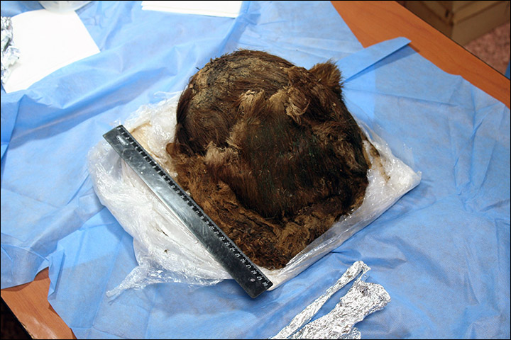Sibirya'da bulunan kirpikli kadın mumyası