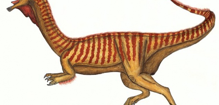 Hem et hem ot diyen dinozor türü bulundu