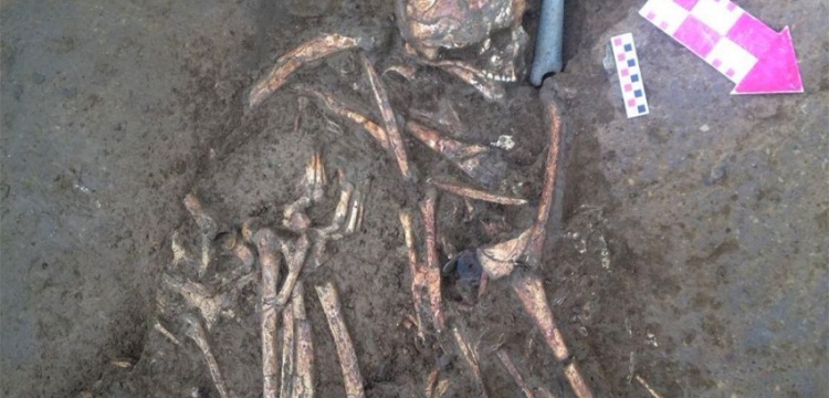 Beşiktaş arkeoloji kazılarında taş baltalı mezar bulundu