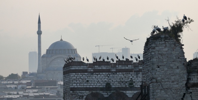 Tarihi surlarda leylekler zamanı