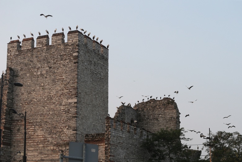 Tarihi surlarda leylekler zamanı