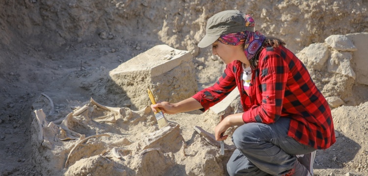 Van'da Urartu döneminden kalma at iskeleti bulundu