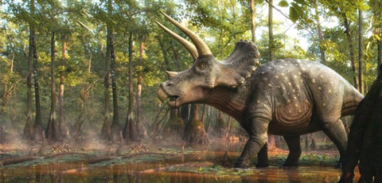 İnşaat kazısında 66 milyon yıllık dinozor fosili bulundu