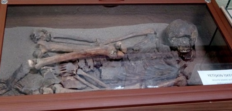 Arkeoloji Müzesinde Çatalhöyük isketlerine ilgi yoğun
