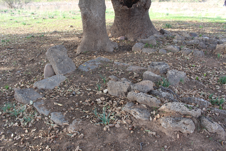 Hatay’da Kayı Boyu damgalı mezar taşları bulundu