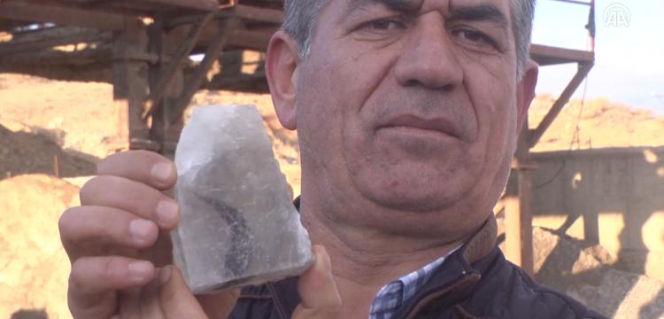 Kırşehir'de kaya tuzundan 7 bin yıllık bitki fosili çıktı