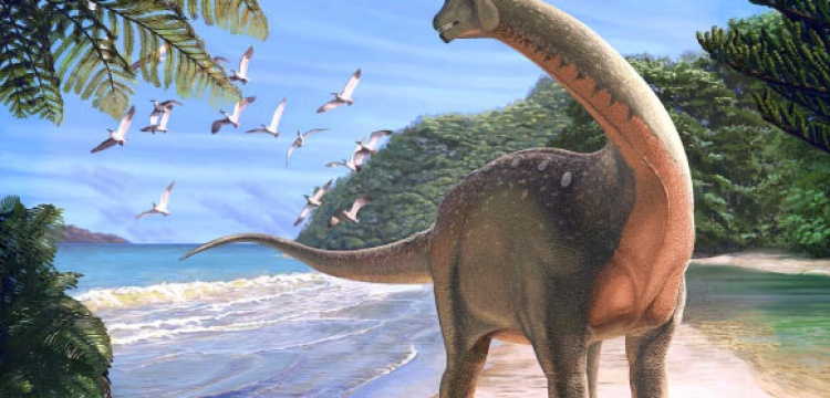 Sahra Çölünde dinozor fosili bulundu: Mansourasaurus Shahinae