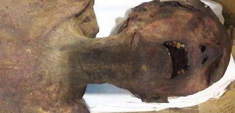 Çığlık Atan Mumya, II. Ramses'in 'Brütüs'ü çıktı