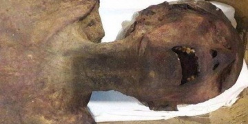 Çığlık Atan Mumya, II. Ramsesin Brütüsü çıktı