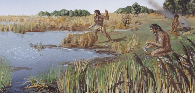Homo erectus dilli bir insansı tür müydü? haberi - Arkeolojik Haber -  Arkeoloji Haber - Arkeoloji Haberleri