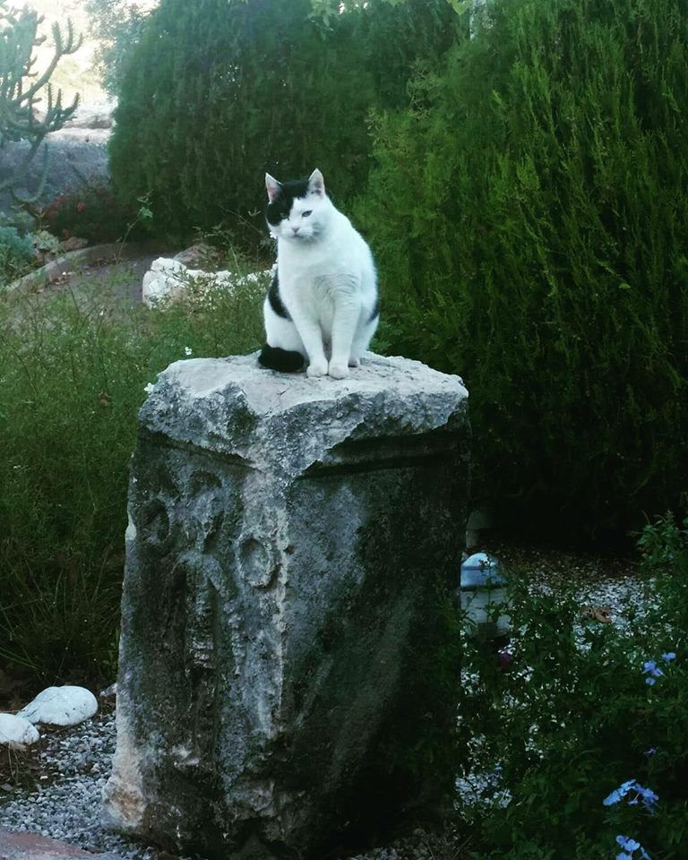 Noel Baba'nın doğduğu yer: Patara Antik Kenti