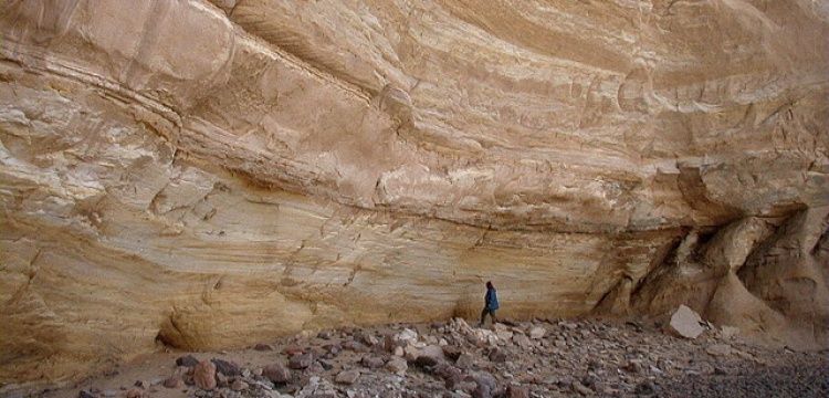 Sahra çölünde 10 bin yıllık çiftçilik faaliyeti keşfedildi