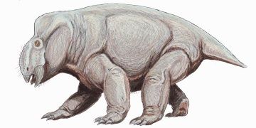 Dicynodontun hayalet izlerinin gerçek olduğu anlaşıldı