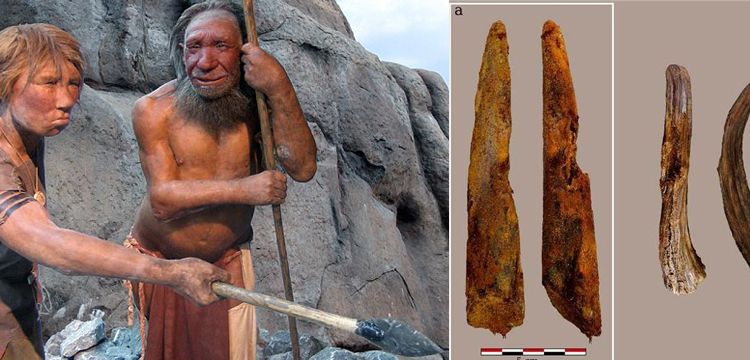 Neandertallere ait bilinen en eski ahşap aletler